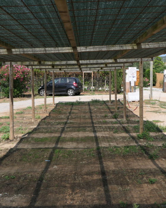 agriturismo con parcheggio a Campiglia Marittima